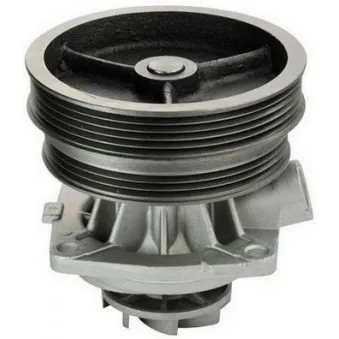 Pompe à eau DENCKERMANN A310175P