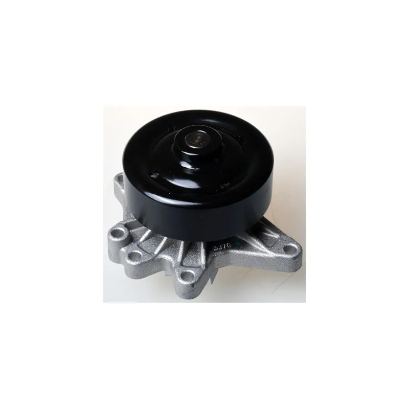 Pompe à eau DENCKERMANN A310310P