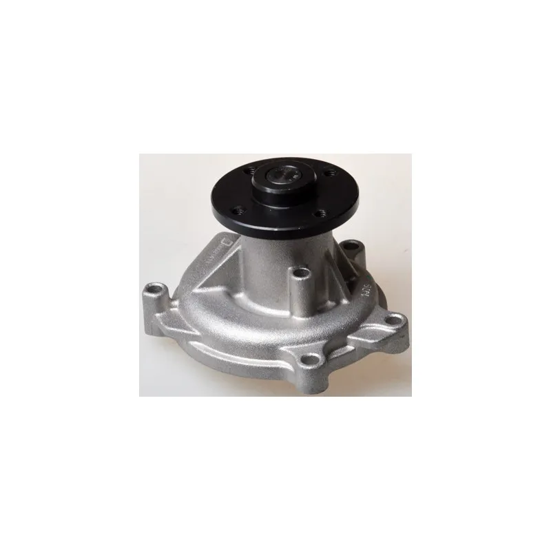 Pompe à eau DENCKERMANN A310356P