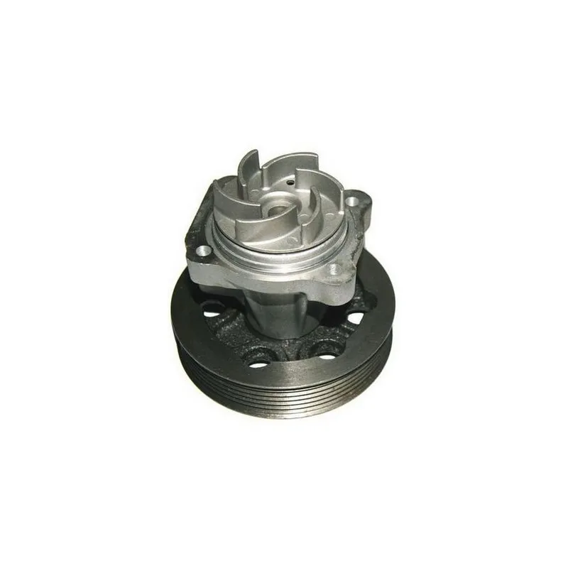 Pompe à eau DENCKERMANN A310509P