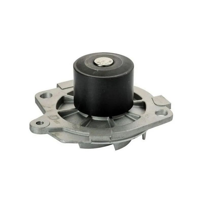 Pompe à eau DENCKERMANN A310817P