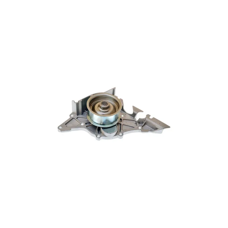 Pompe à eau DENCKERMANN A310871P