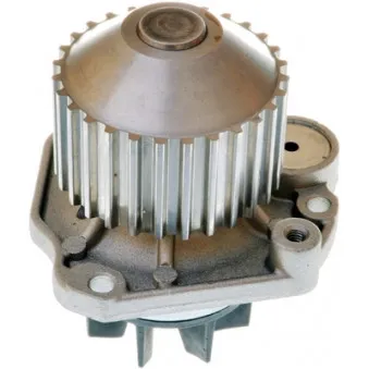 Pompe à eau DENCKERMANN A310896P