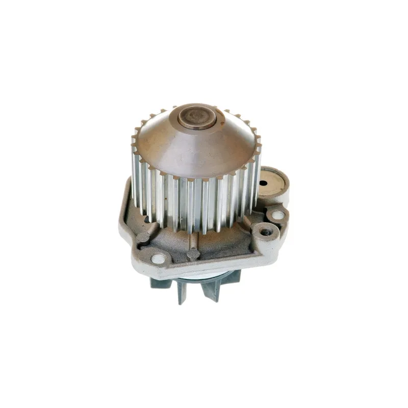 Pompe à eau DENCKERMANN A310896P