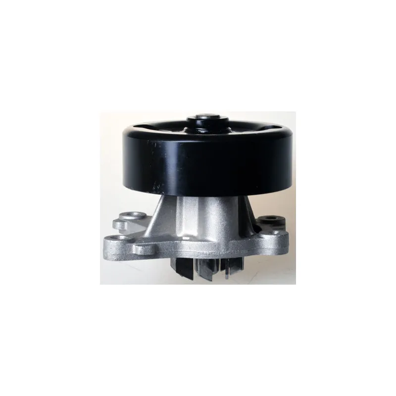 Pompe à eau DENCKERMANN A310957P