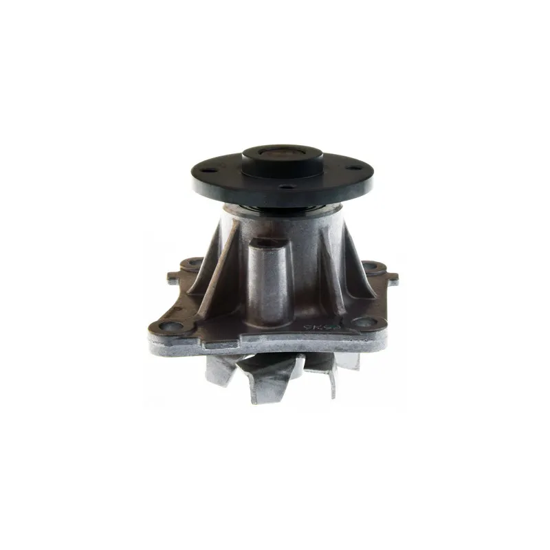 Pompe à eau DENCKERMANN A310966P