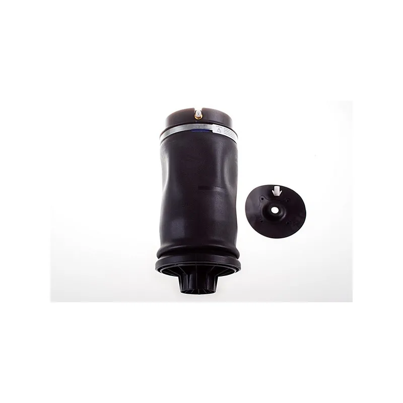 Ressort pneumatique, châssis DENCKERMANN DSA115G