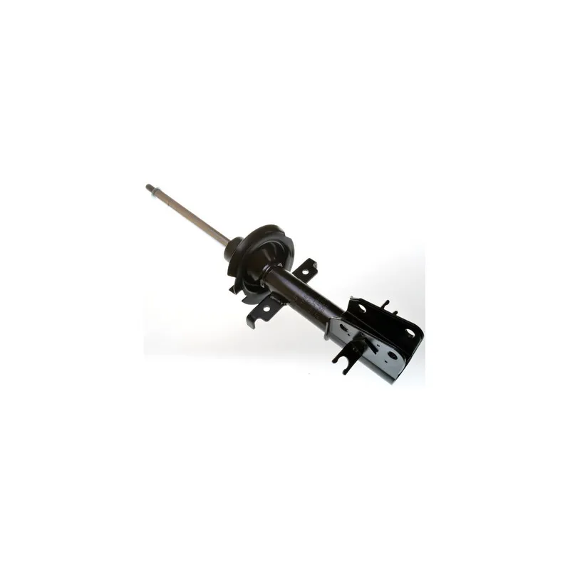 Jeu de 2 amortisseurs avant DENCKERMANN DSB032G