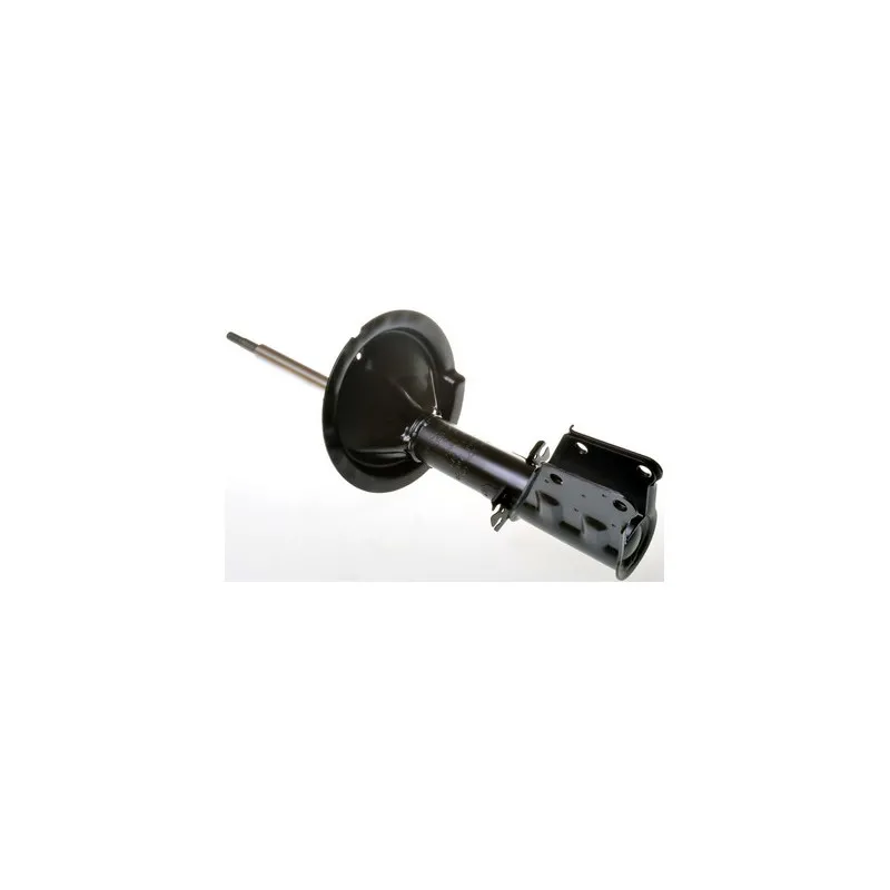 Jeu de 2 amortisseurs avant DENCKERMANN DSB109G