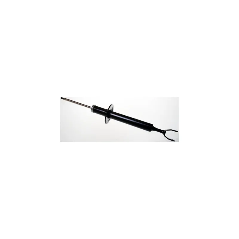 Jeu de 2 amortisseurs avant DENCKERMANN DSB190G