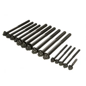 Jeu de boulons de culasse de cylindre PAYEN HBS464