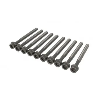 Jeu de boulons de culasse de cylindre ELRING 323.300