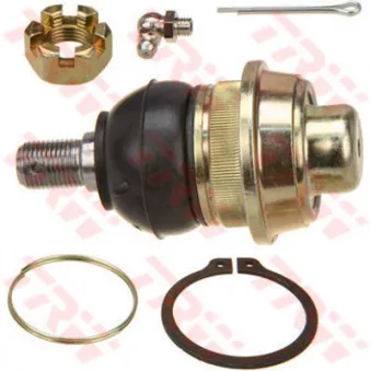Rotule de suspension TRW JBJ339