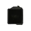 Radiateur, refroidissement du moteur THERMOTEC D7AG171TT - Visuel 2