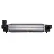 Intercooler, échangeur THERMOTEC DA03001TT - Visuel 1