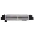 Intercooler, échangeur THERMOTEC DA03001TT - Visuel 2