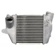 Intercooler, échangeur THERMOTEC DA3005TT - Visuel 1