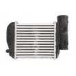 Intercooler, échangeur THERMOTEC DAA018TT - Visuel 2