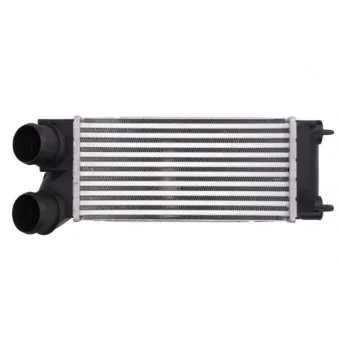 Intercooler, échangeur THERMOTEC DAC013TT