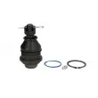 Rotule de suspension YAMATO J25001YMT - Visuel 1