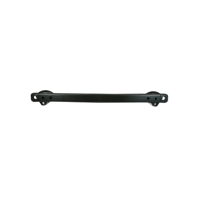 Support, pare-chocs BLIC 5502-00-0502980P