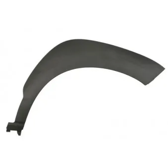 Baguette et bande protectrice, aile avant droit BLIC 5703-04-9080421P