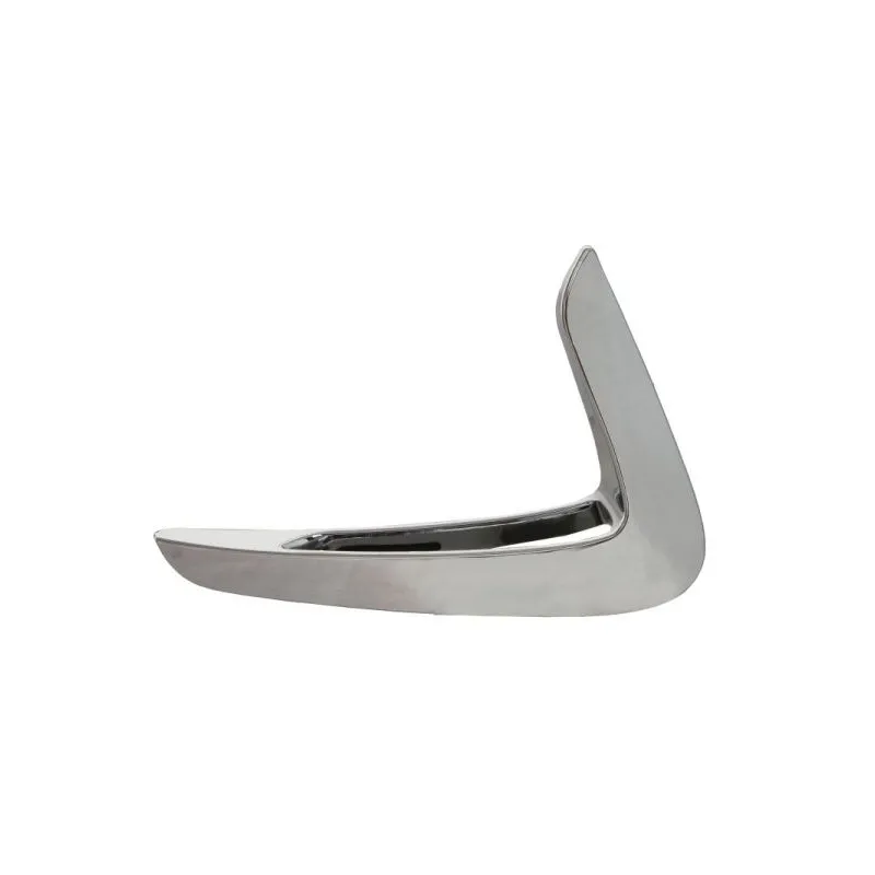 Baguette et bande protectrice, aile avant droit BLIC 5703-08-0070374P