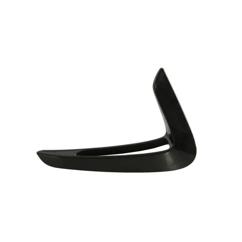 Baguette et bande protectrice, aile avant droit BLIC 5703-08-0070376P
