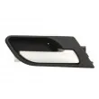 Poignet de porte, équipment intérieur arrière droit BLIC 6010-05-014408TP - Visuel 1