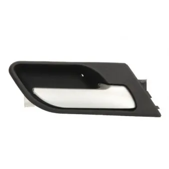 Poignet de porte, équipment intérieur arrière droit BLIC 6010-05-014408TP