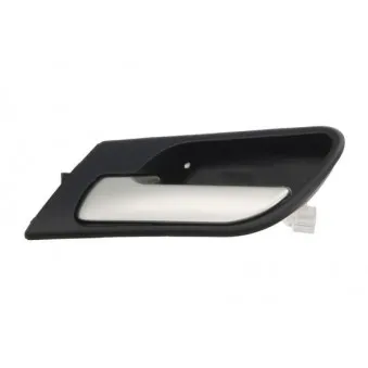 Poignet de porte, équipment intérieur avant gauche BLIC 6010-05-014409P