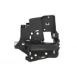 Poignet de porte, équipment intérieur arrière gauche BLIC 6010-07-039417LWP - Visuel 1