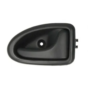 Poignet de porte, équipment intérieur avant droit BLIC 6010-09-6032408P