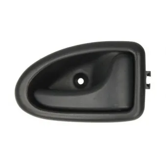 Poignet de porte, équipment intérieur avant droit BLIC 6010-09-6032408SP