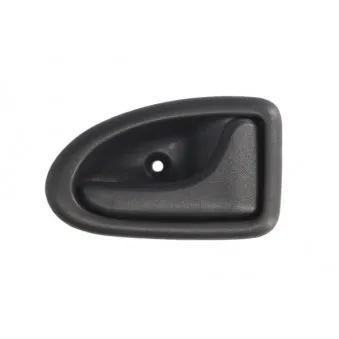 Poignet de porte, équipment intérieur arrière droit BLIC 6010-09-6032408TP