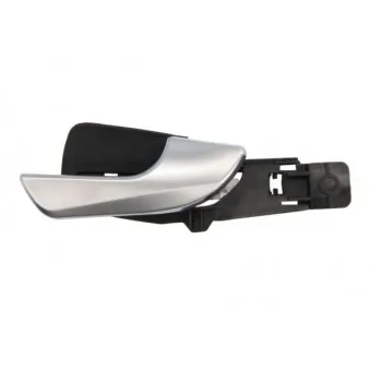 Poignet de porte, équipment intérieur avant droit BLIC 6010-22-017408P