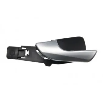 Poignet de porte, équipment intérieur avant gauche BLIC 6010-22-017409P