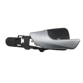 Poignet de porte, équipment intérieur arrière gauche BLIC 6010-22-017409PP