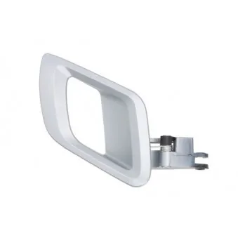 Poignet de porte, équipment intérieur avant droit BLIC 6010-43-008408PP