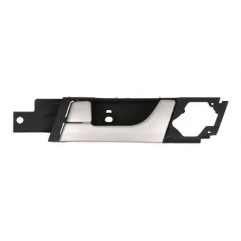Poignet de porte, équipment intérieur avant droit BLIC 6010-56-015408P