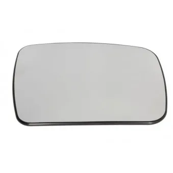 Verre de rétroviseur, rétroviseur extérieur BLIC