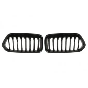 Grille de radiateur BLIC 6502-07-0060911P