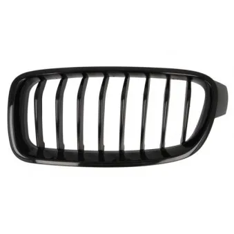 Grille de radiateur avant gauche BLIC 6502-07-0063991MP