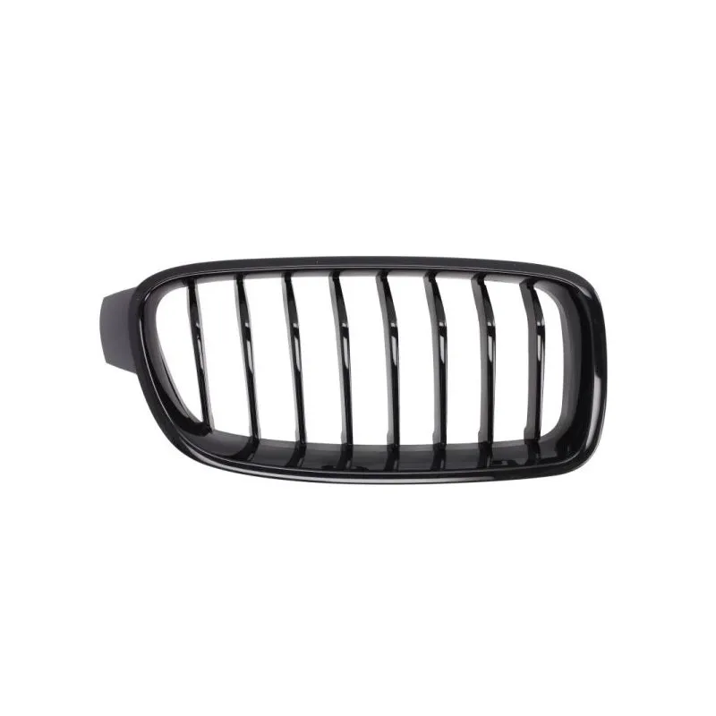 Grille de radiateur avant droit BLIC 6502-07-0063992MP