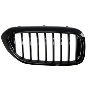 Grille de radiateur avant droit BLIC 6502-07-0068992P