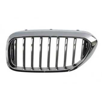 Grille de radiateur avant gauche BLIC 6502-07-0068993P