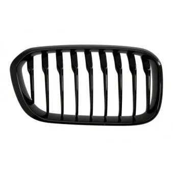 Grille de radiateur avant droit BLIC 6502-07-0086998P
