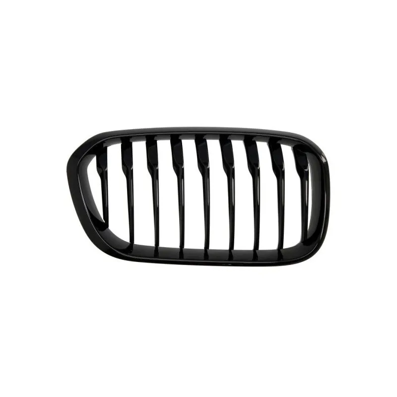 Grille de radiateur avant droit BLIC 6502-07-0086998P
