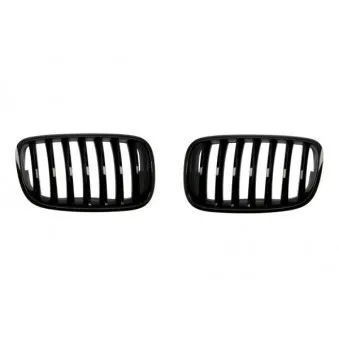 Grille de radiateur BLIC 6502-07-0096990P