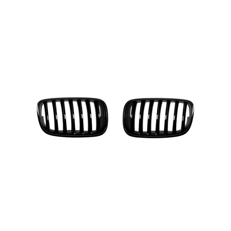 Grille de radiateur BLIC 6502-07-0096990P